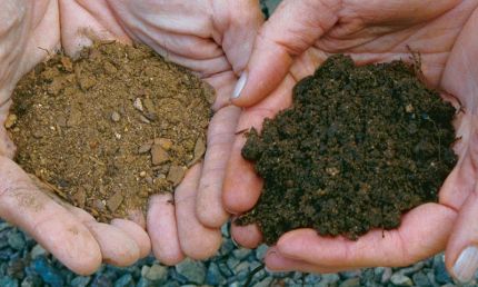 hands holding fill dirt versus topsoil