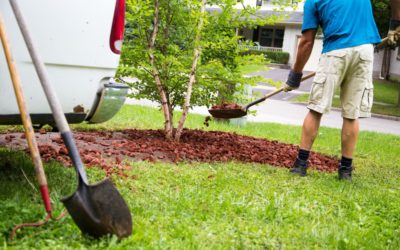 Bray Works With Many Landscaping Companies – This is What We’ve Learned From Them On How To Run A Profitable Landscaping Business…