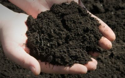 What Is Topsoil, What Is It Used For, and What Kind Do You Need?…
