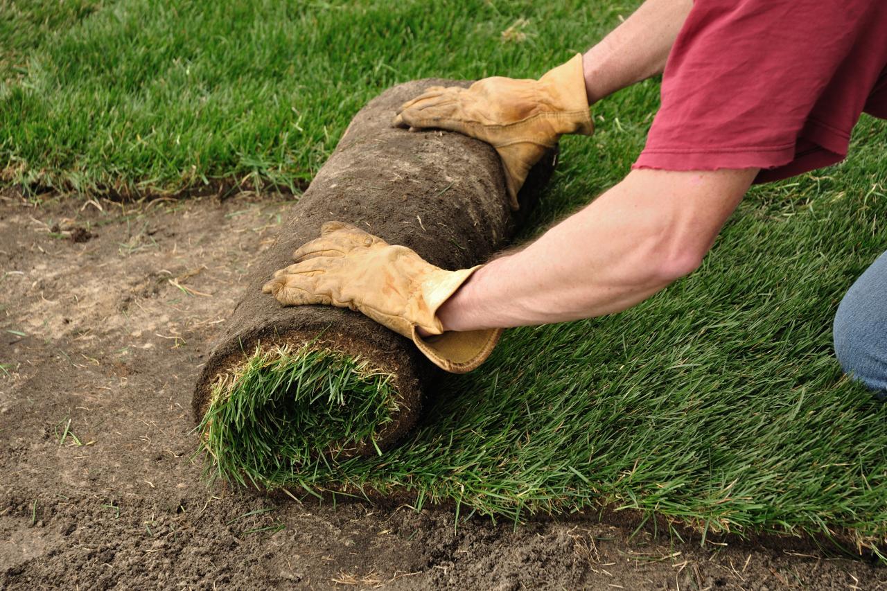 How To Prepare Your Soil For Sod Installation - The Reading Corner For All