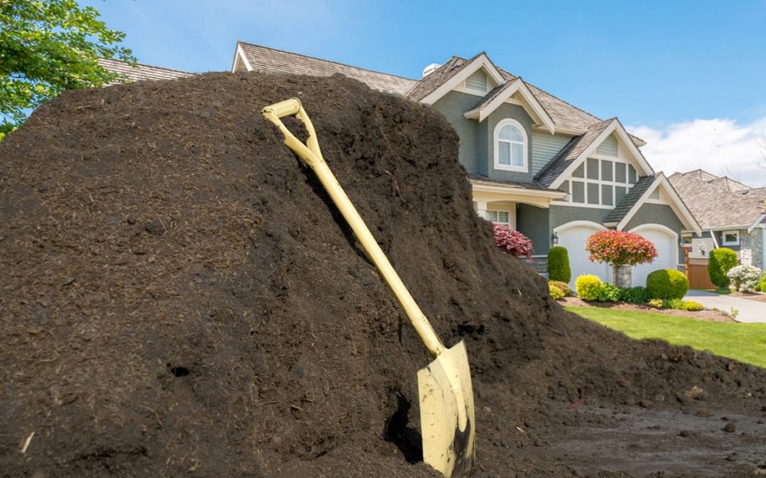 Everything You Need to Know About Fill Dirt…