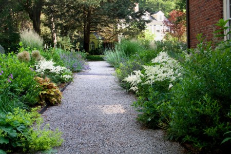 Gravel walking path with plants