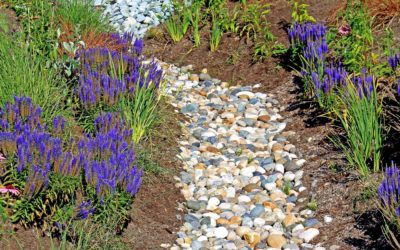 Why Drain Rock Is Great For French Drains, Trenches, Driveways, Landscaping and More….