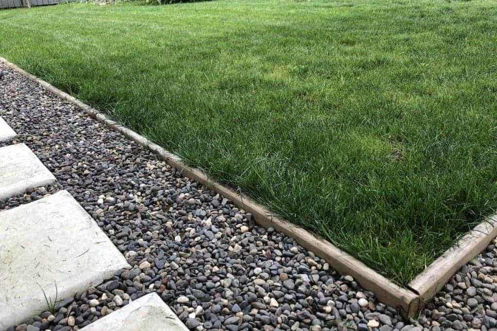 Yard with stone walkway and filler gravel