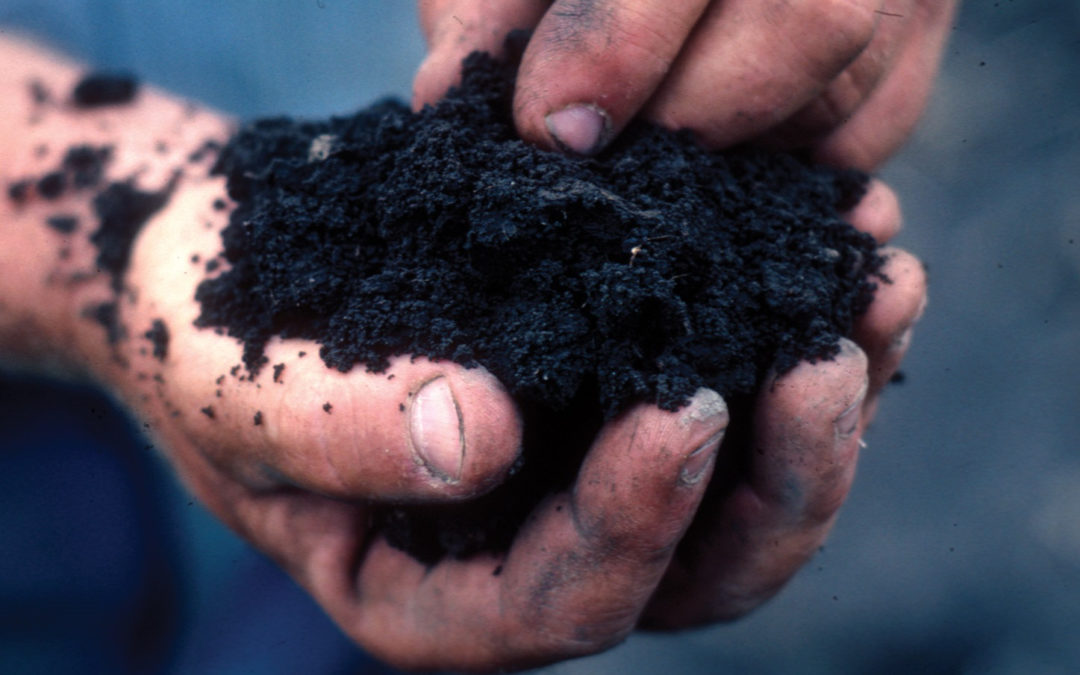 What Is Meant By The Term “Clean Soil” And Why It Is So Important For Your Lawn and Garden…