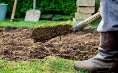A Beginner’s Guide To Topsoil and It’s 4 Main Uses…