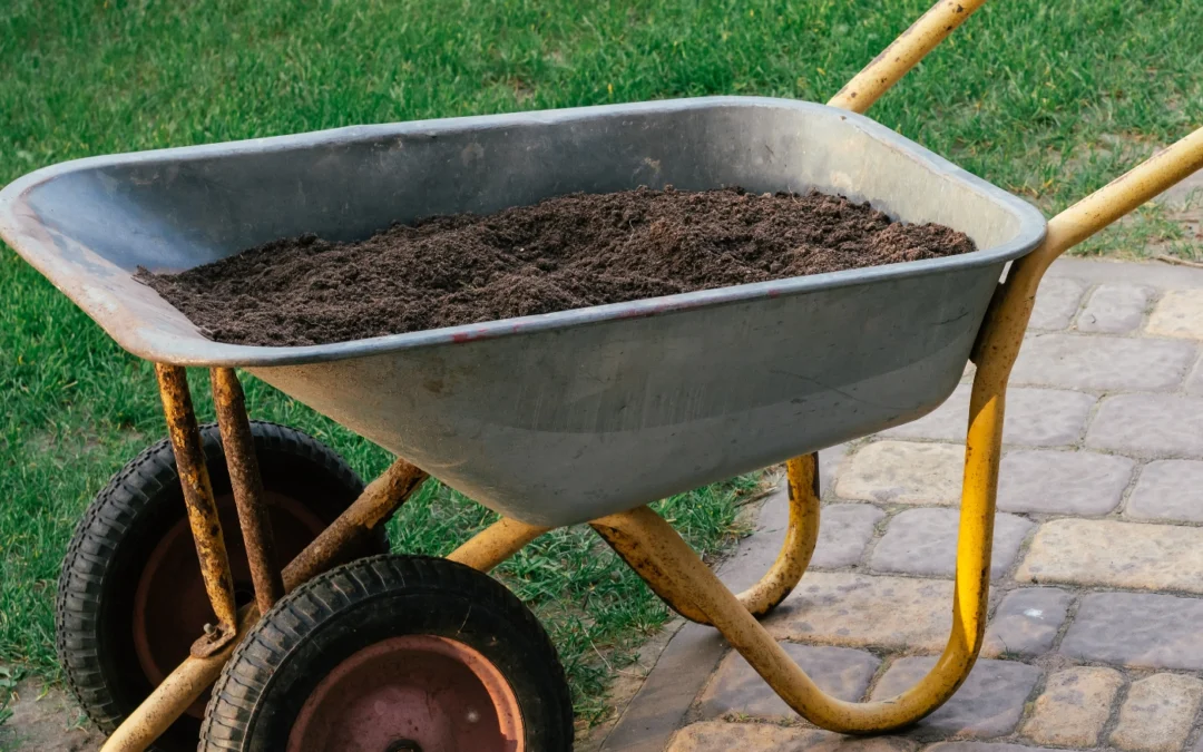 A Beginner’s Guide To Topsoil and It’s 4 Main Uses…