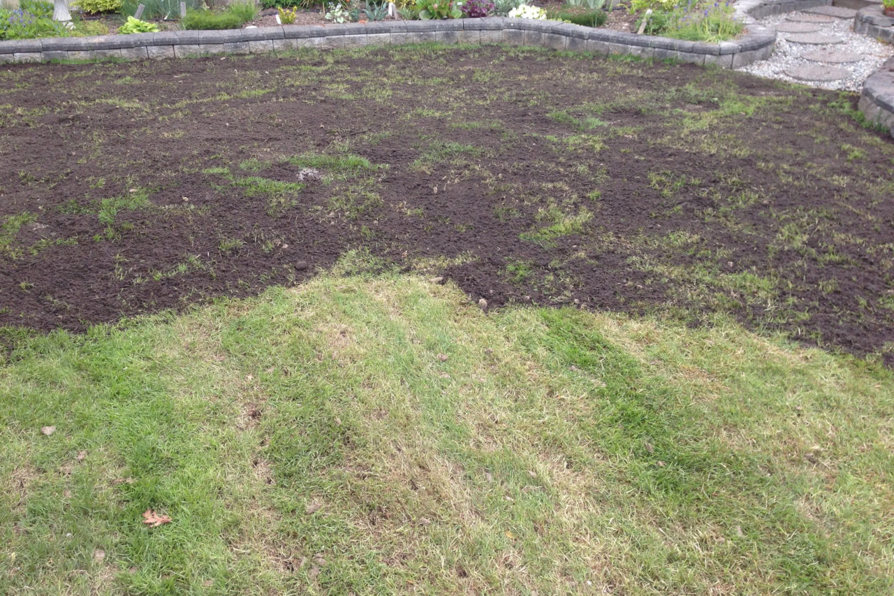 How To Level Your Lawn With Soil And Sand   Topdressing Yard Leveling Yard Northern Kentucky Cincinnati 1280x853 