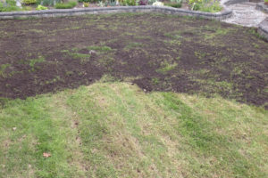 yard with topdressing using topsoil