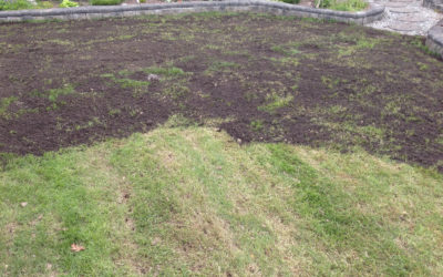 How To Level Your Lawn With Soil and Sand…