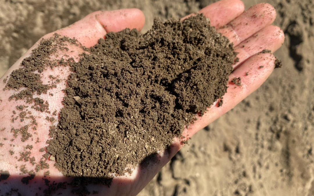 The Structure, Types, and Function of Topsoil…