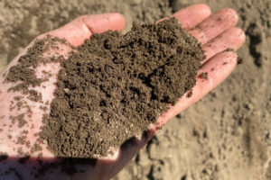 hand holding topsoil and sand