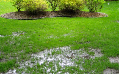 Does Your Yard Have Drainage Problems? View 5 Symtoms and 6 Ways to Fix It…