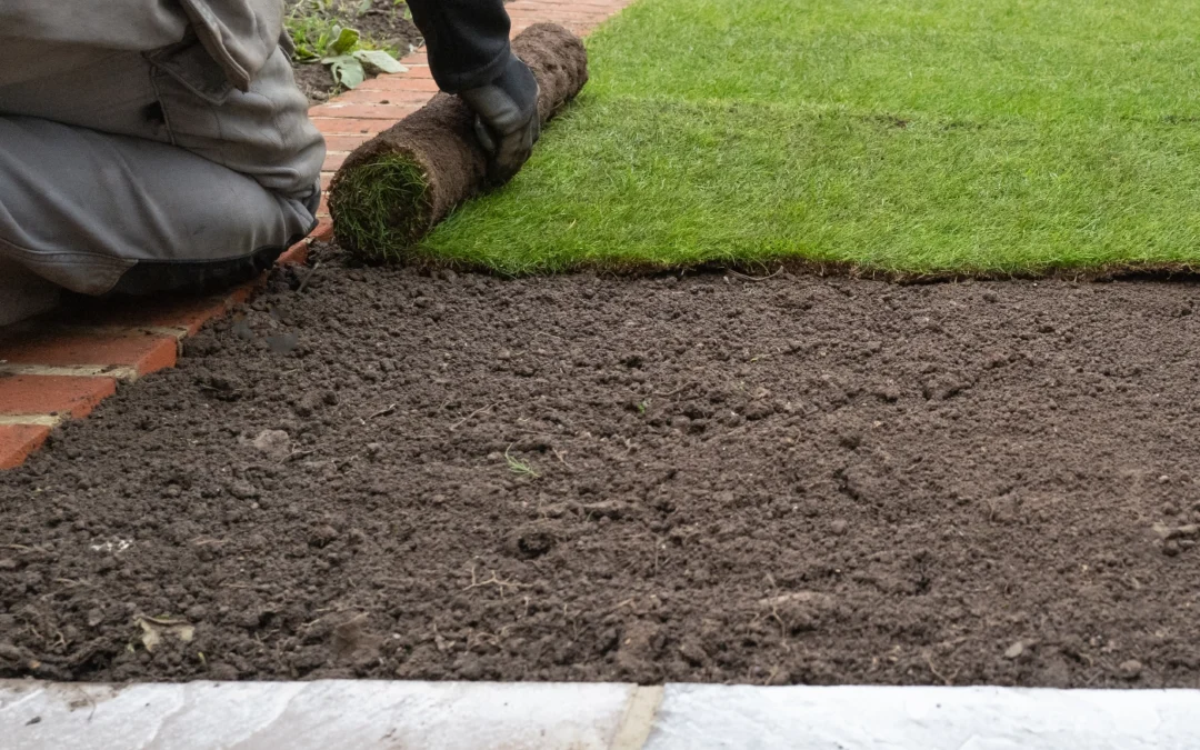 8 Tips To Get The Most Out of Your Next Landscaping Project