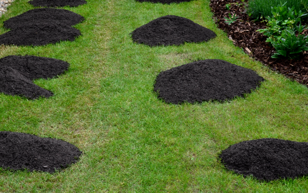 Topdressing A Lawn: The Benefits And How To Do It