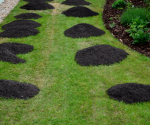 Piles of soil on top of a green lawn