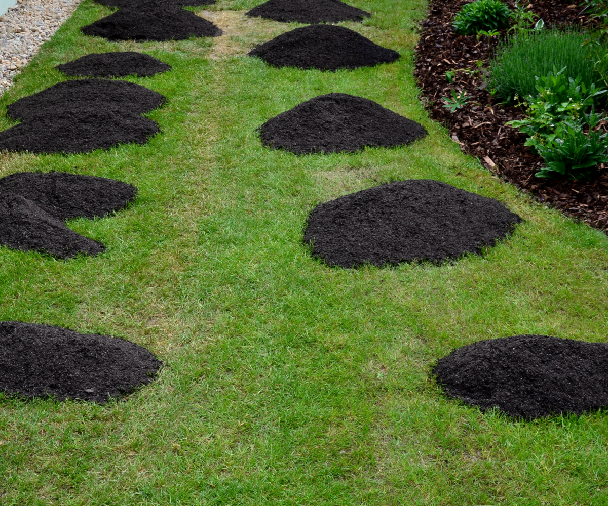 Piles of soil on top of a green lawn