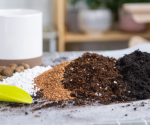 Ingredients for the soil of home potted plants, peat, earth, sand, perlite, vermiculite, coconut