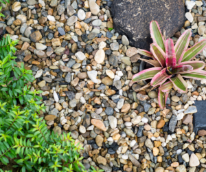 Mosses and fine stones in a garden