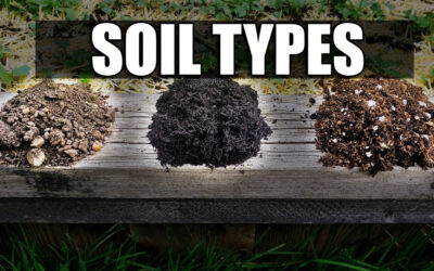6 Different Topsoil Types and Their Benefits…