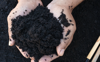 Topsoil 101 – What You Need to Know