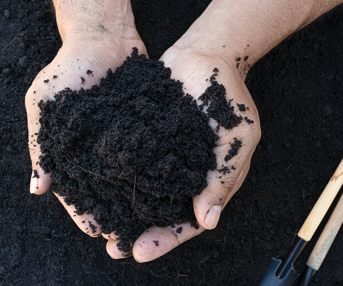 Image of hands holding soil.