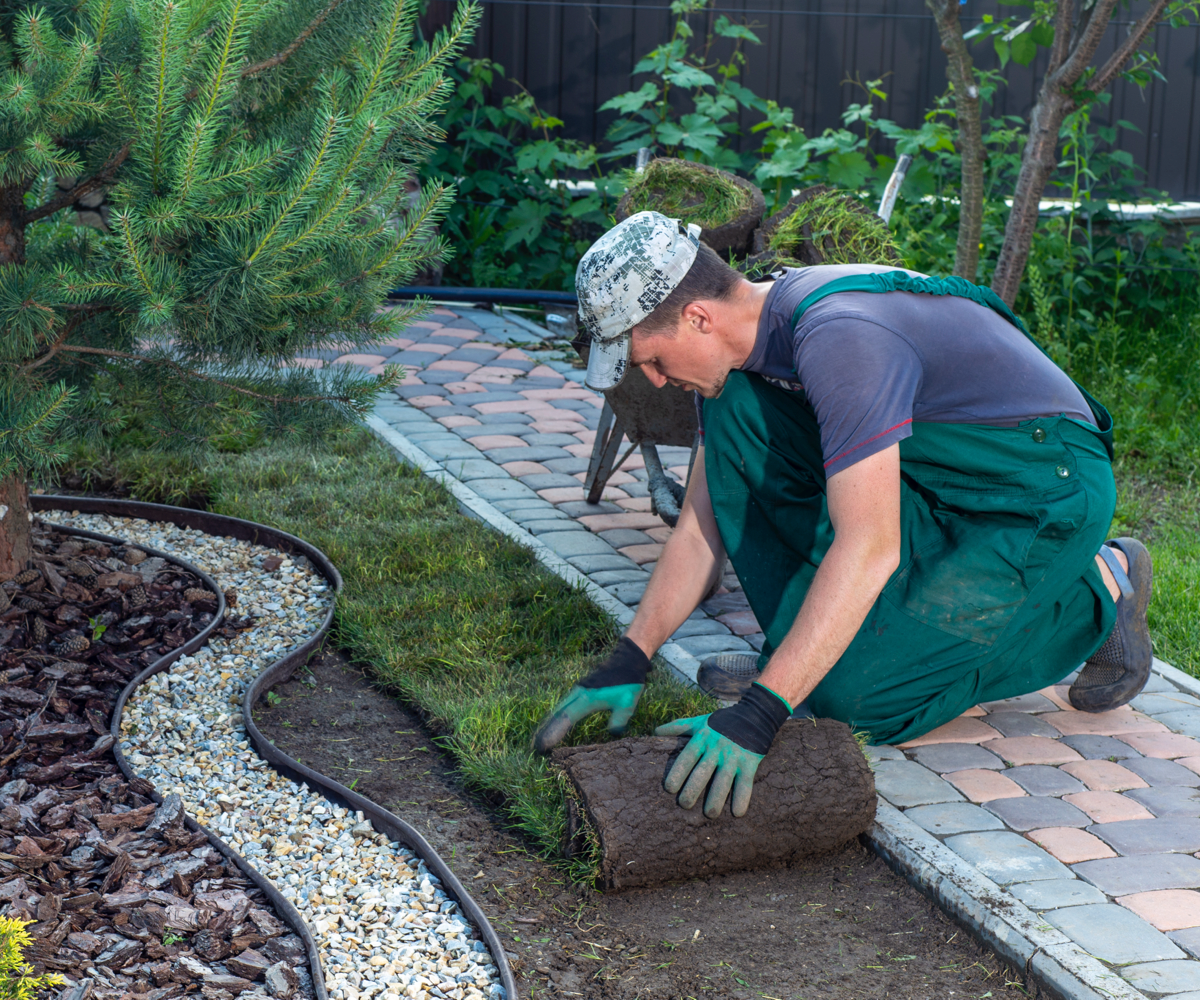 landscaper laying down sod