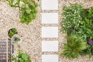 city garden in summer with various grass plants, flowers and trees planted in the gravel