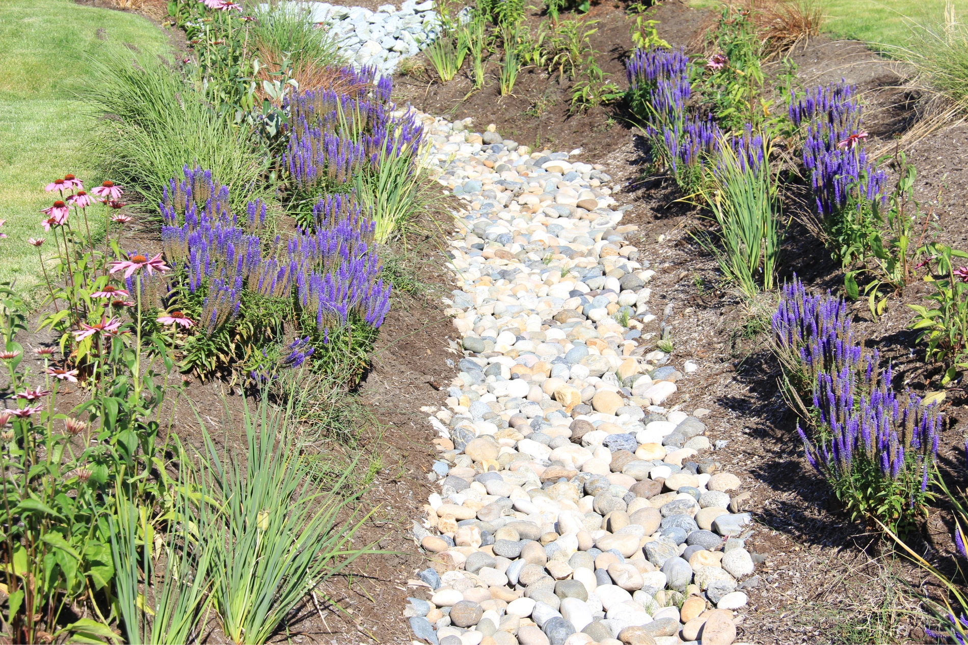 Dry drainage ditch with landscaping on either side