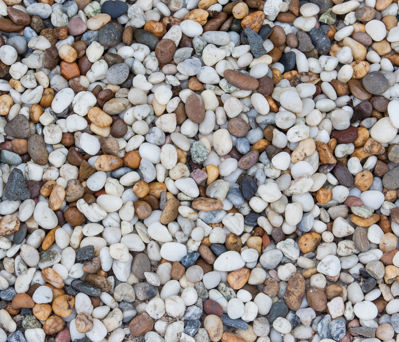 close up of speckled smooth gravel