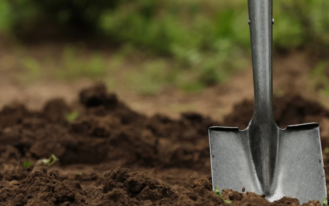 The Best Topsoil for Growing Grass: What You Need to Know