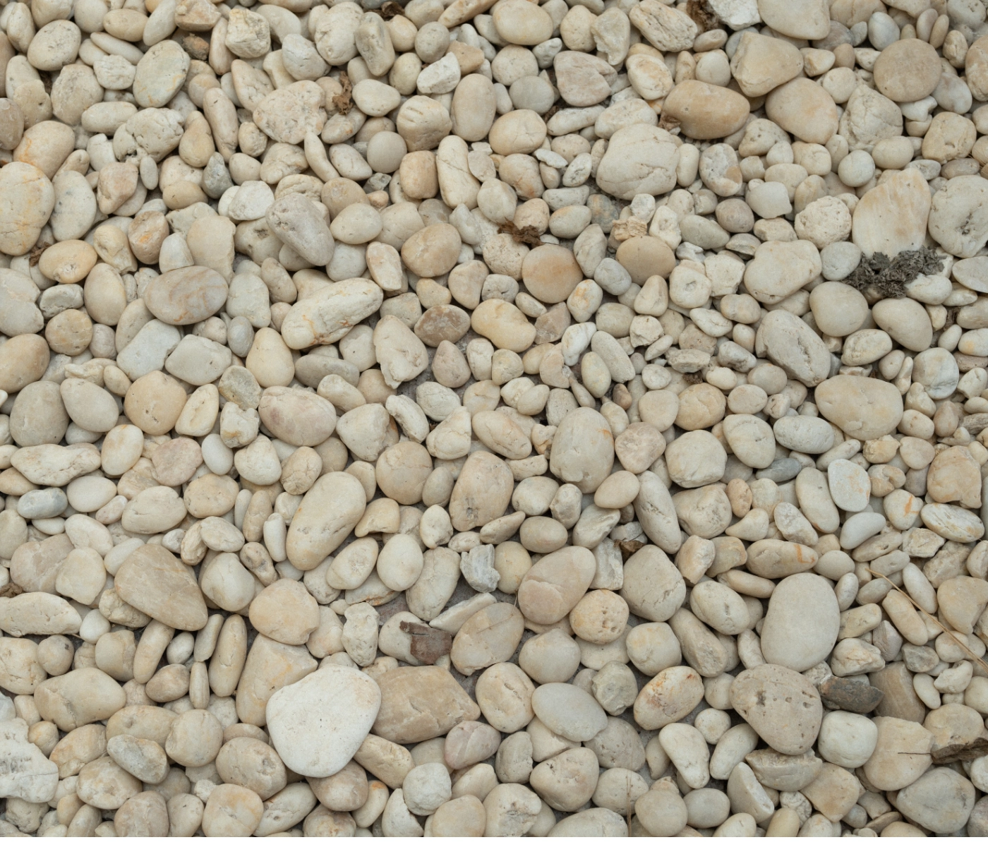 light colored gravel