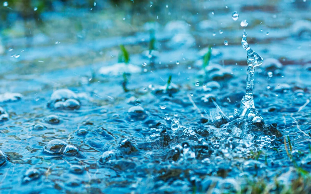 Does Your Yard Have Drainage Problems? View 5 Symptoms and 6 Ways to Fix It