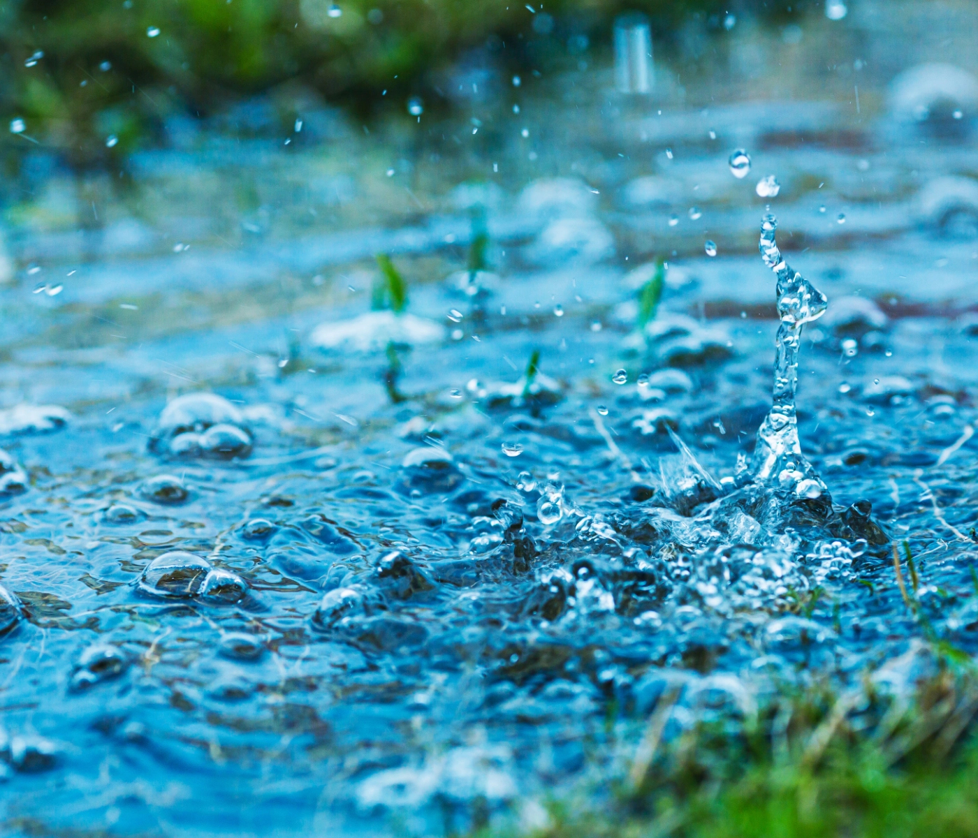 rain drops on a flooded yard.