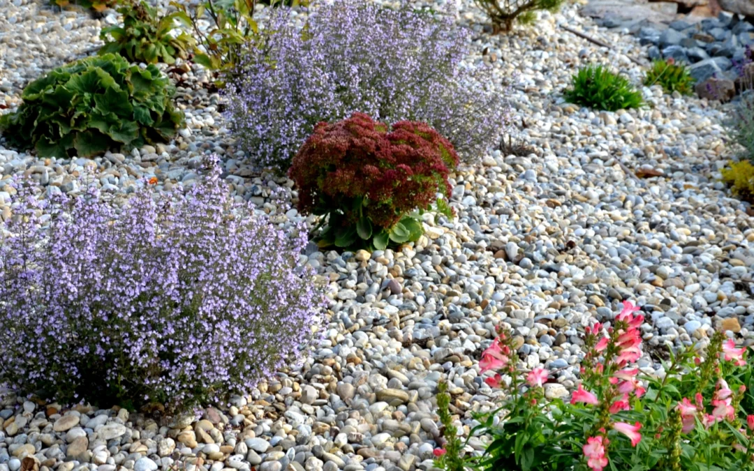 3 Uses for Pea Gravel Other Than Your Driveway and Walkway