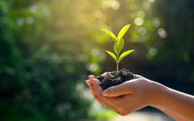 The Purpose of Topsoil: A Guide for Gardeners and Landscapers