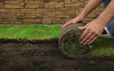 The Best Topsoil for Planting Grass: A Homeowner’s Guide