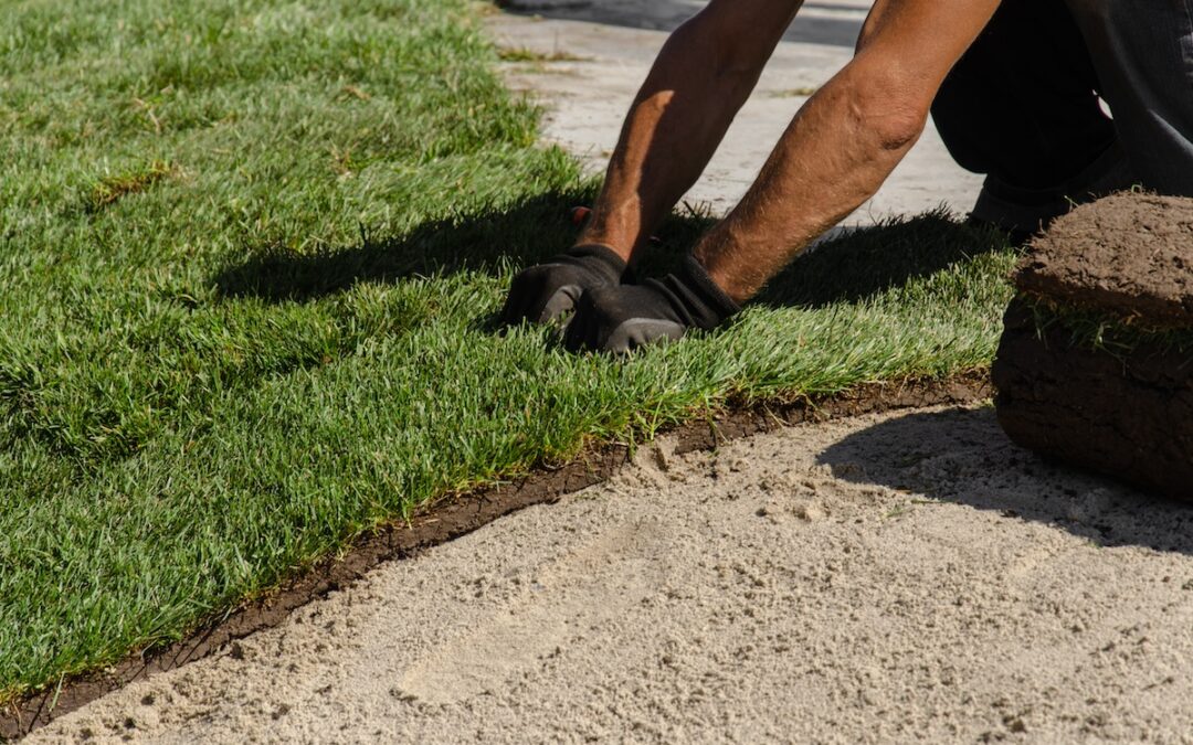 Planting New Grass Seed? Use the Best Topsoil
