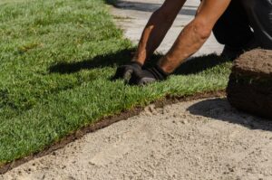 Hands of worker in gardening gloves laying sod. Applying green turf rolls, making new lawn in park.