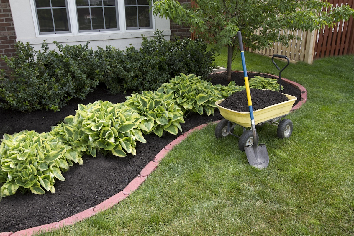 Greenery garden with fresh clean topsoil in wheel barrel with shovel