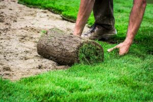 A worker laying down rolls of grass turfs for a new lawn