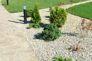 landscaping in a private yard. Natural stone sidewalk and green lawn.